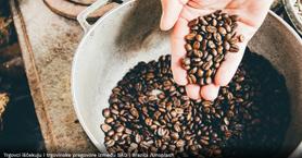 Kafa sve skuplja: "Arabica" dostiže rekord zbog globalnog manjka ponude